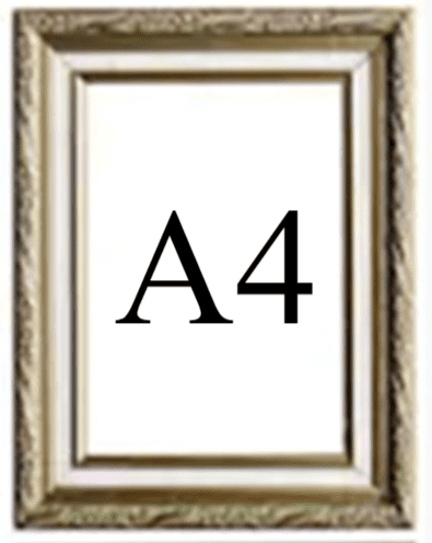 A4
